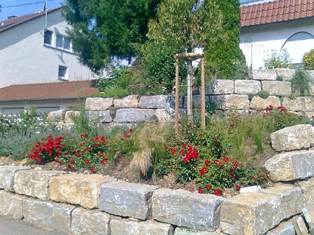 Beetmauer aus grossen Kalksteinquadern in zwei Stufen, bepflanzt mit roten Rosen und Ziergraesern, dahinter ein Rosenbogen aus Holz.