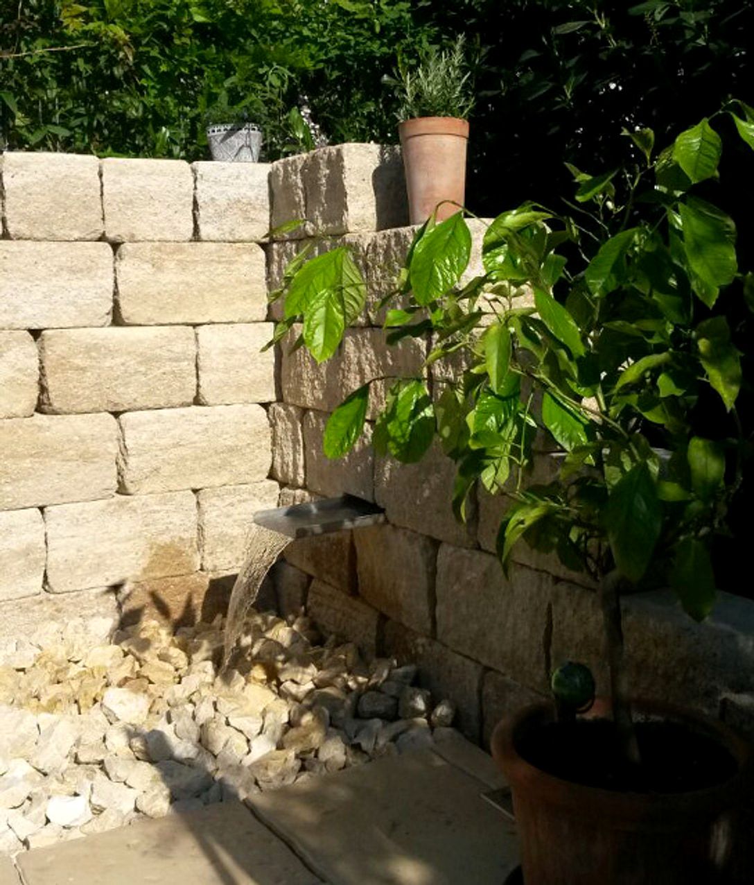Wasserspeier in einer Muschelkalkmauer bei Tageslicht, der Strahl faellt auf ein Kiesbett, darueber ranken Kletterpflanzen.