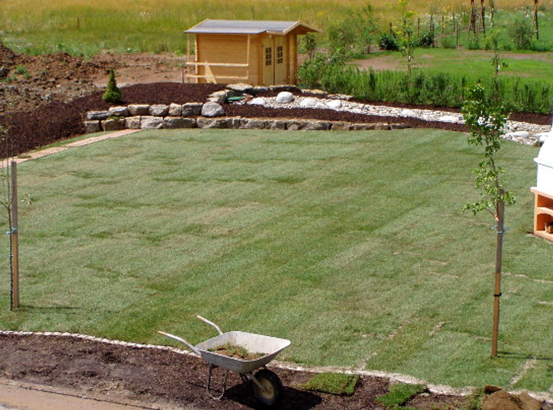 Fertig verlegte Rasenflaeche mit sichtbaren Bahnen, gerahmt von einem Findlingsbeet und einem Gartenhaus.